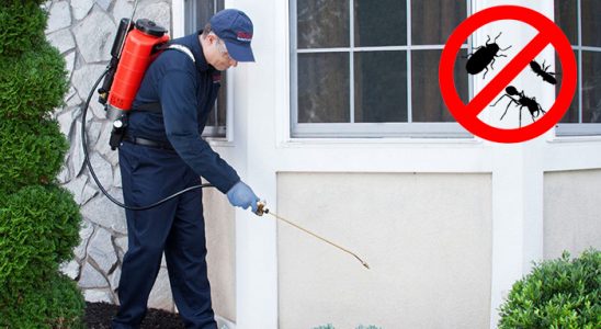Gevaş Kene İlaçlama böcek ilaçlama ve haşere kontrolü — ilaclama-tr.com